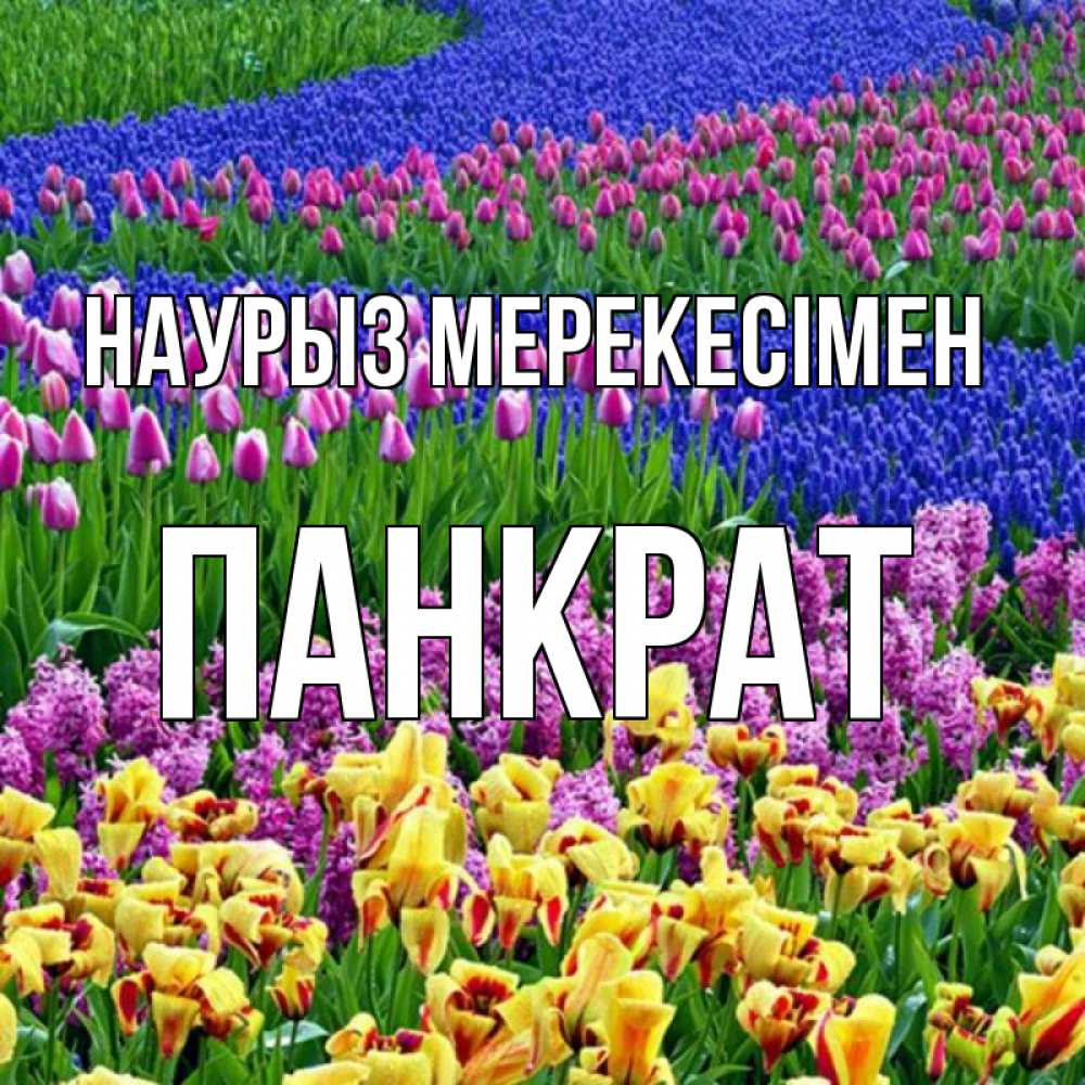 Күн сайын ашық хат с именем, Панкрат Наурыз мерекесімен цветы Онлайн тегін жүктеп алу тілектері бар керемет карта 