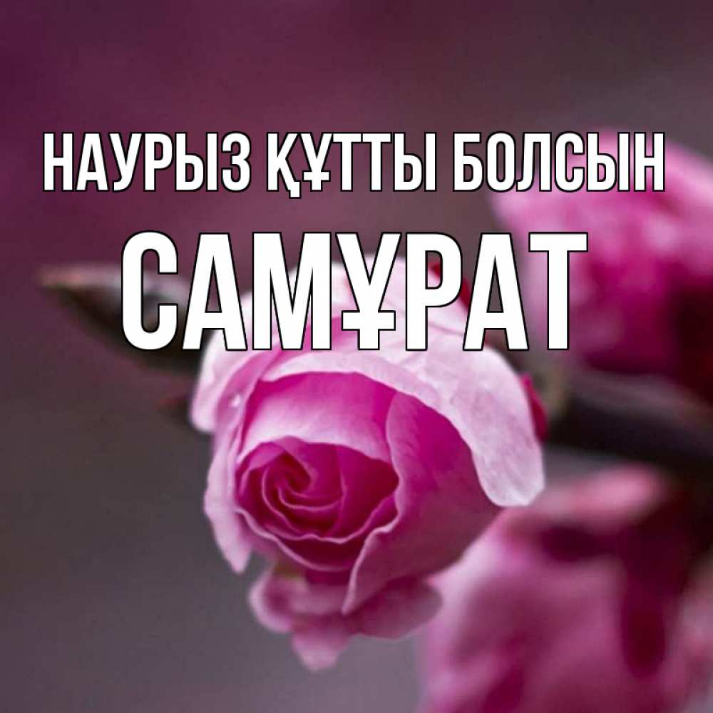 Күн сайын ашық хат с именем, САМҰРАТ Наурыз құтты болсын весна Онлайн тегін жүктеп алу тілектері бар керемет карта 