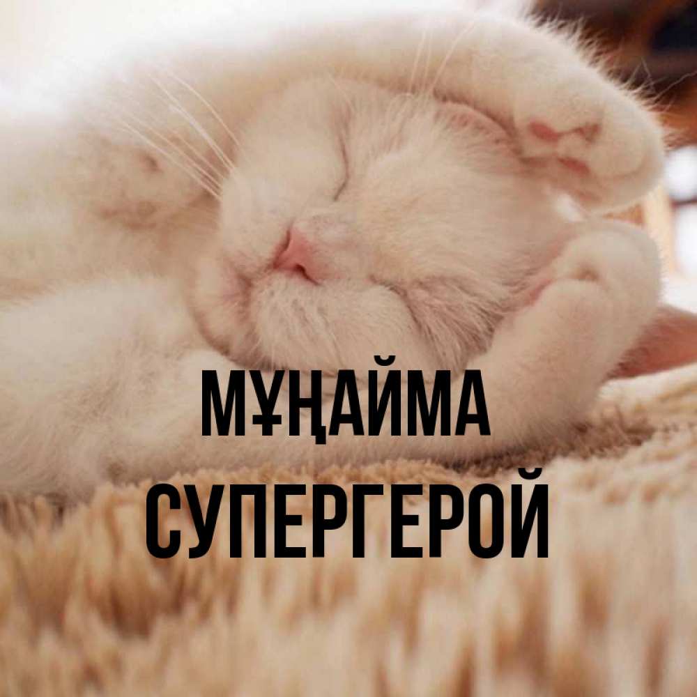 Күн сайын ашық хат с именем, Супергерой Мұңайма Котенок спит Онлайн тегін жүктеп алу тілектері бар керемет карта 