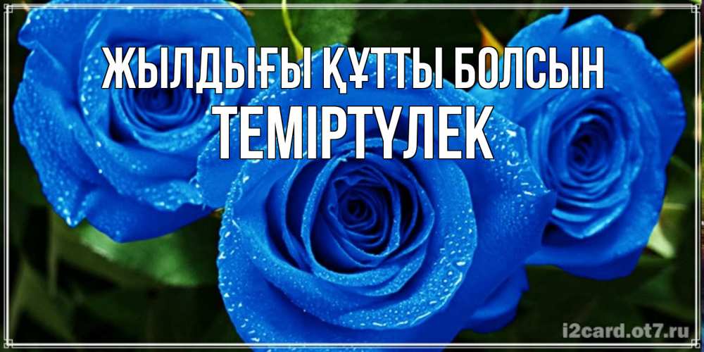 Күн сайын ашық хат с именем, ТЕМІРТҮЛЕК Жылдығы құтты болсын розы с синим цветом Онлайн тегін жүктеп алу тілектері бар керемет карта 