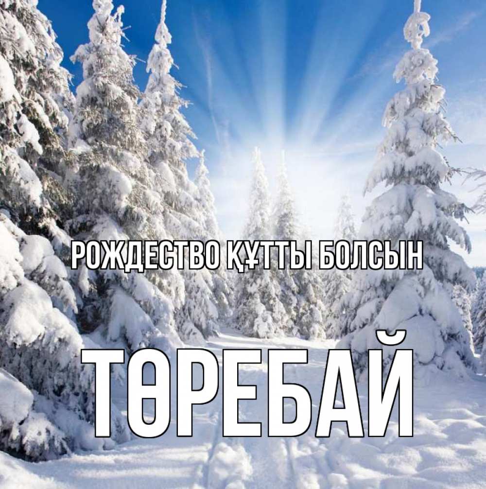 Күн сайын ашық хат с именем, Төребай Рождество құтты болсын зима, лес Онлайн тегін жүктеп алу тілектері бар керемет карта 