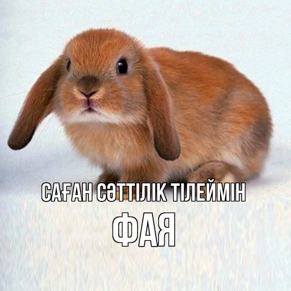 Күн сайын ашық хат с именем, Фая Саған сәттілік тілеймін вставить текст в открытку по выбору Онлайн тегін жүктеп алу тілектері бар керемет карта 