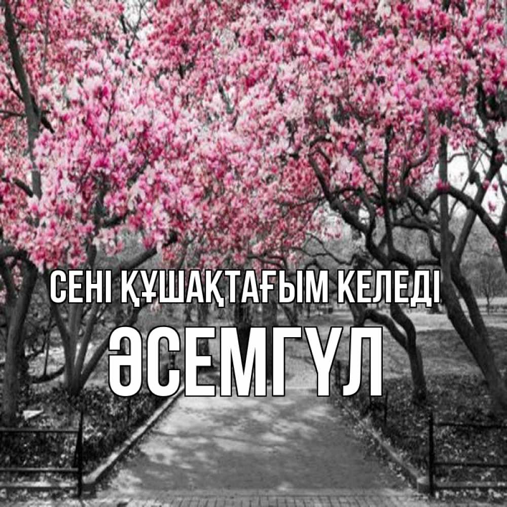 Күн сайын ашық хат с именем, ӘСЕМГҮЛ сені құшақтағым келеді обработанное фото Онлайн тегін жүктеп алу тілектері бар керемет карта 