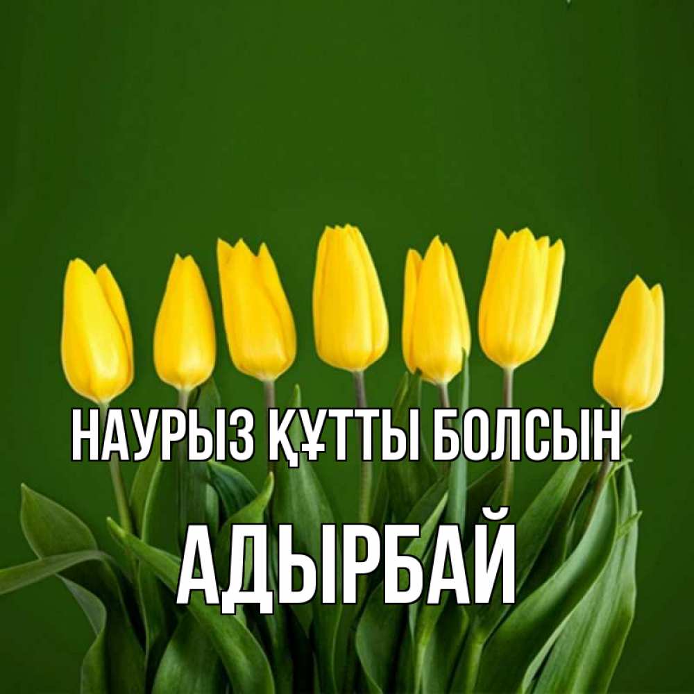 Күн сайын ашық хат с именем, Адырбай Наурыз құтты болсын желтого цвета 3 Онлайн тегін жүктеп алу тілектері бар керемет карта 