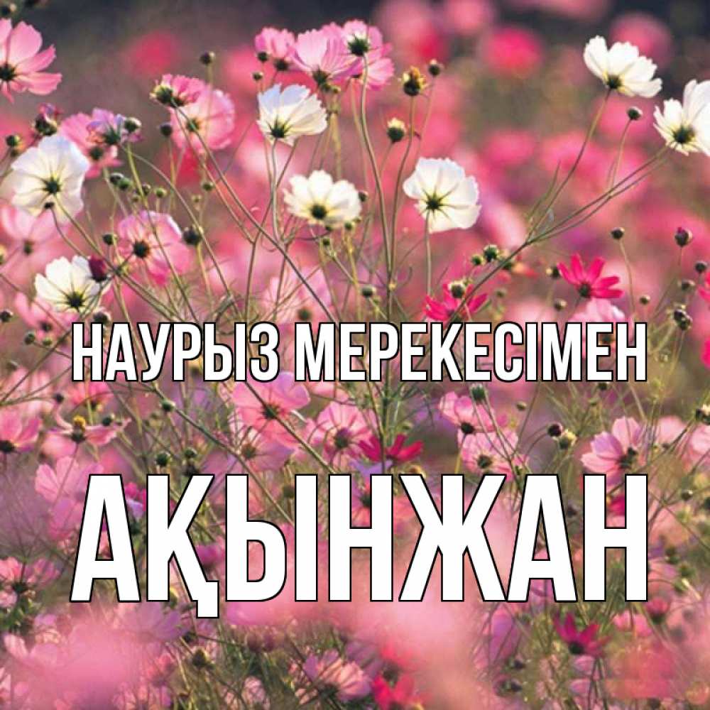 Күн сайын ашық хат с именем, Ақынжан Наурыз мерекесімен красиво 1 Онлайн тегін жүктеп алу тілектері бар керемет карта 