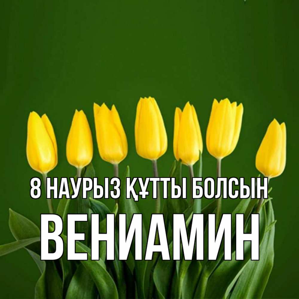 Күн сайын ашық хат с именем, Вениамин 8 наурыз құтты болсын желтого цвета 3 Онлайн тегін жүктеп алу тілектері бар керемет карта 