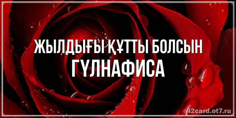 Күн сайын ашық хат с именем, ГҮЛНАФИСА Жылдығы құтты болсын крупная бордовая роза Онлайн тегін жүктеп алу тілектері бар керемет карта 
