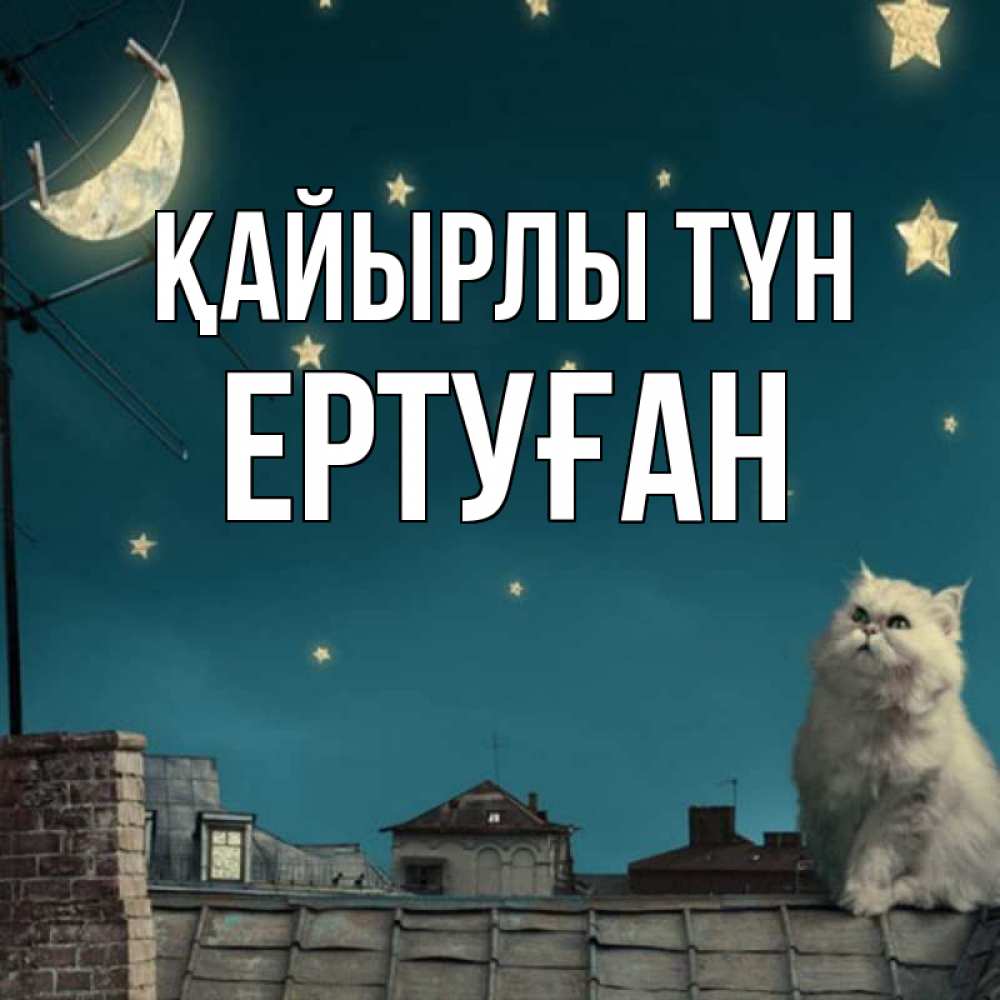 Күн сайын ашық хат с именем, Ертуған Қайырлы түн белый кот сидит на крыше Онлайн тегін жүктеп алу тілектері бар керемет карта 