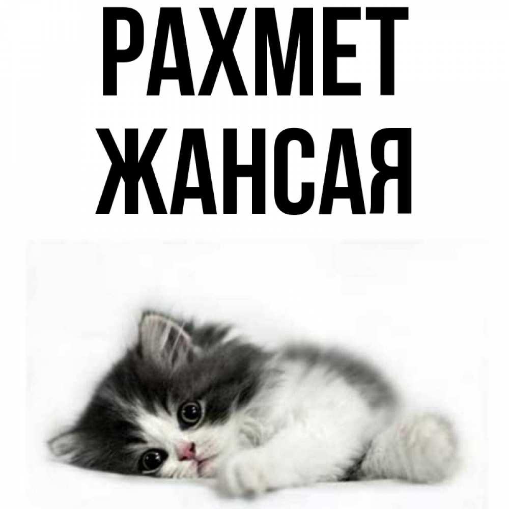 Күн сайын ашық хат с именем, ЖАНСАЯ рахмет черный и белый кот Онлайн тегін жүктеп алу тілектері бар керемет карта 