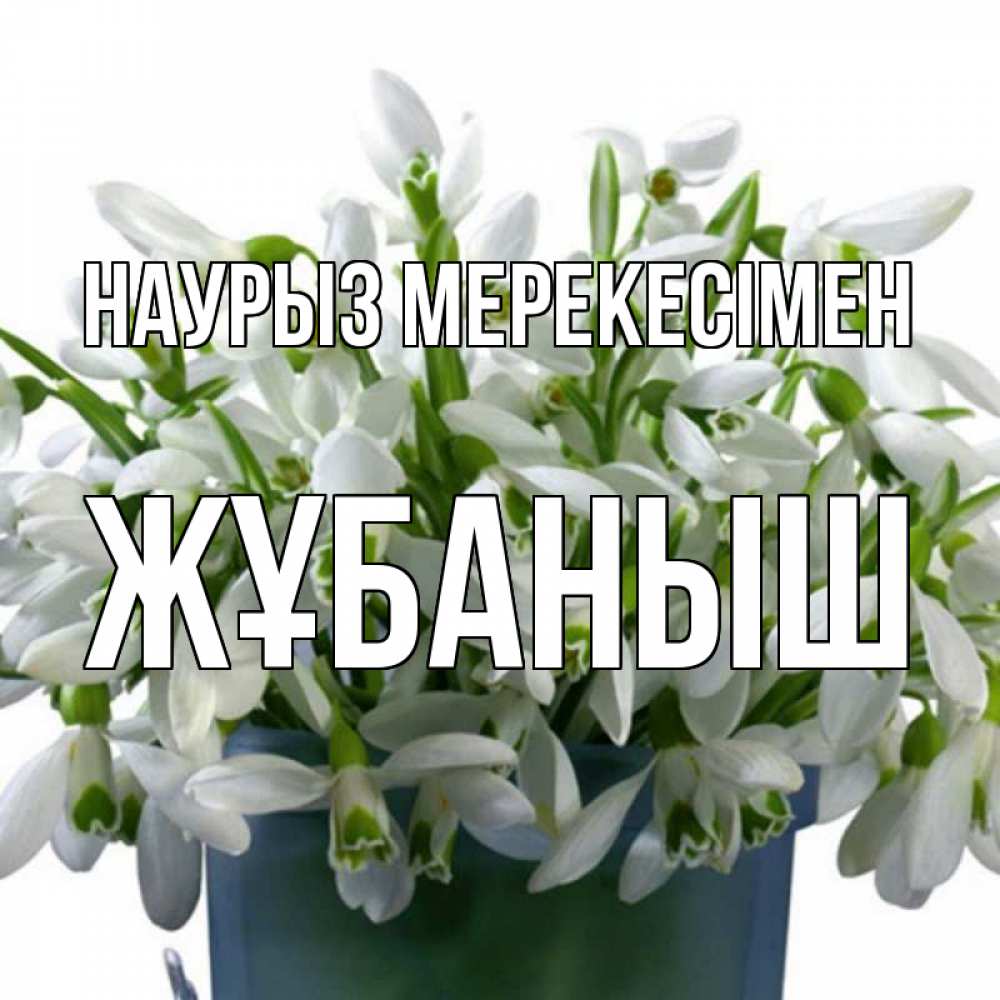 Күн сайын ашық хат с именем, Жұбаныш Наурыз мерекесімен цветы к наурызу новый год в Казахстане Онлайн тегін жүктеп алу тілектері бар керемет карта 