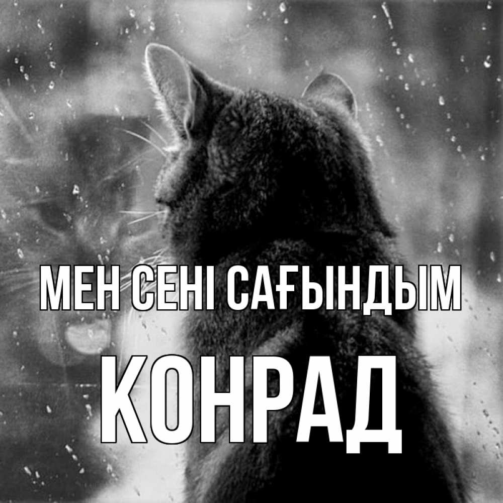 Күн сайын ашық хат с именем, Конрад Мен сені сағындым скорее ко мне приходи 1 Онлайн тегін жүктеп алу тілектері бар керемет карта 