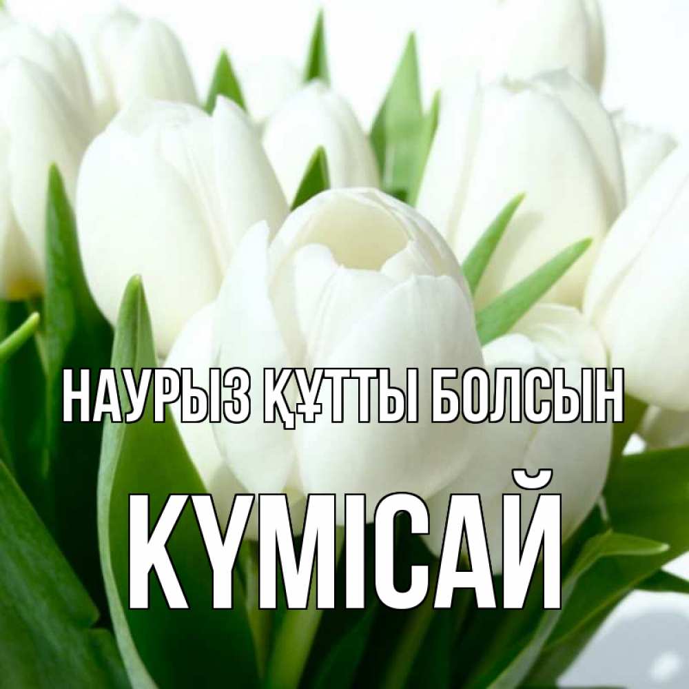 Күн сайын ашық хат с именем, КҮМІСАЙ Наурыз құтты болсын цветы Онлайн тегін жүктеп алу тілектері бар керемет карта 