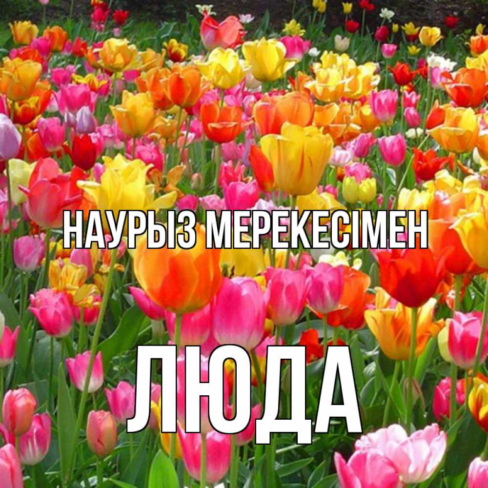 Күн сайын ашық хат с именем, Люда Наурыз мерекесімен праздник весны наурыз 4 Онлайн тегін жүктеп алу тілектері бар керемет карта 
