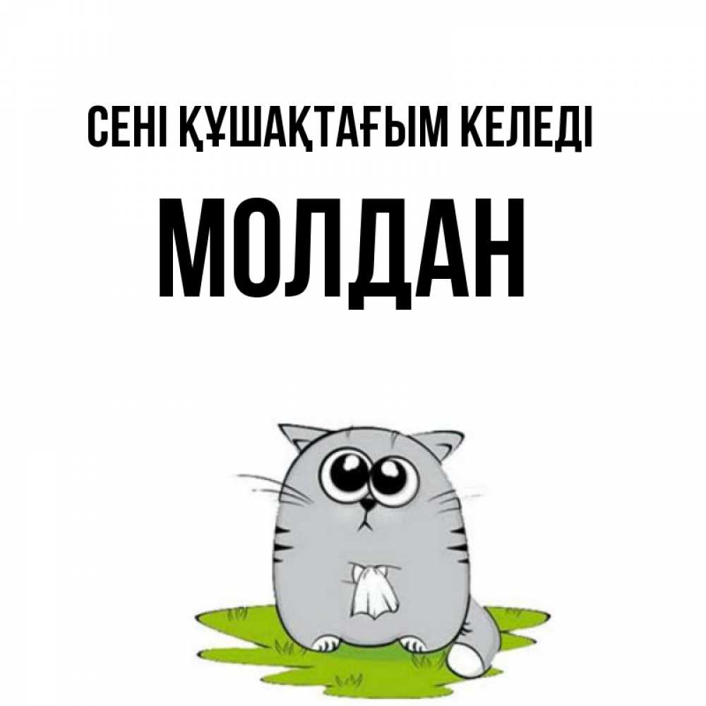 Күн сайын ашық хат с именем, МОЛДАН сені құшақтағым келеді котик теребит платочек сидя на травке Онлайн тегін жүктеп алу тілектері бар керемет карта 