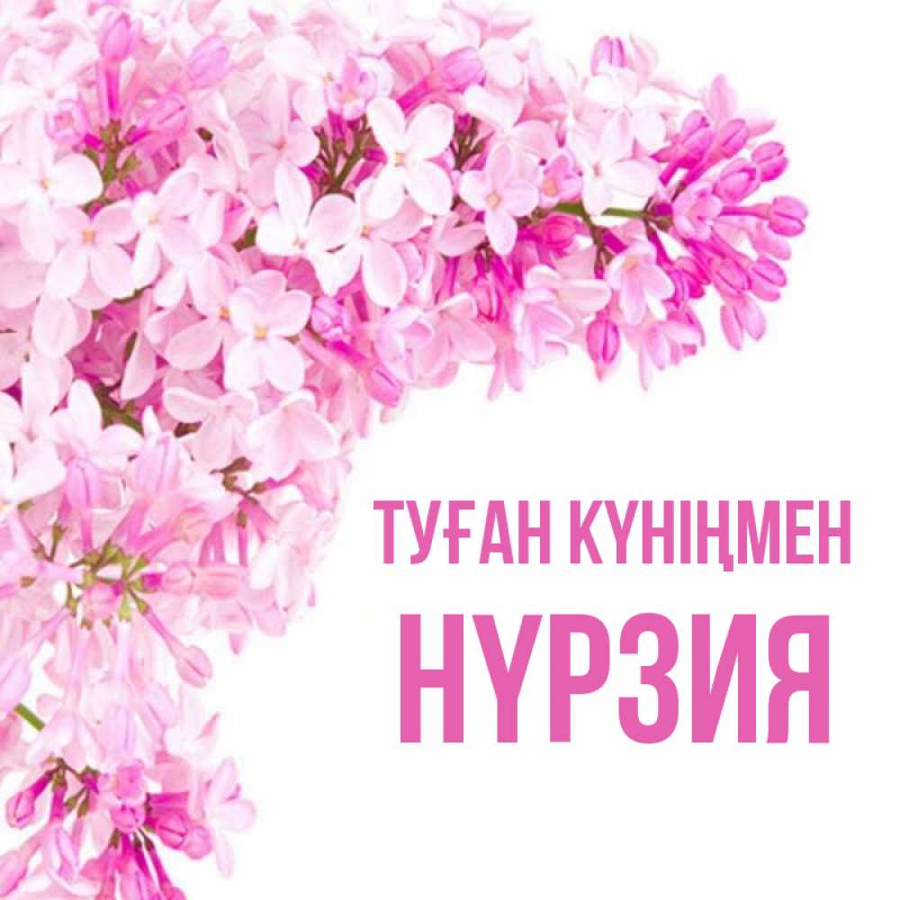 Күн сайын ашық хат с именем, НҮРЗИЯ Туған күніңмен Сирень на белом фоне Онлайн тегін жүктеп алу тілектері бар керемет карта 