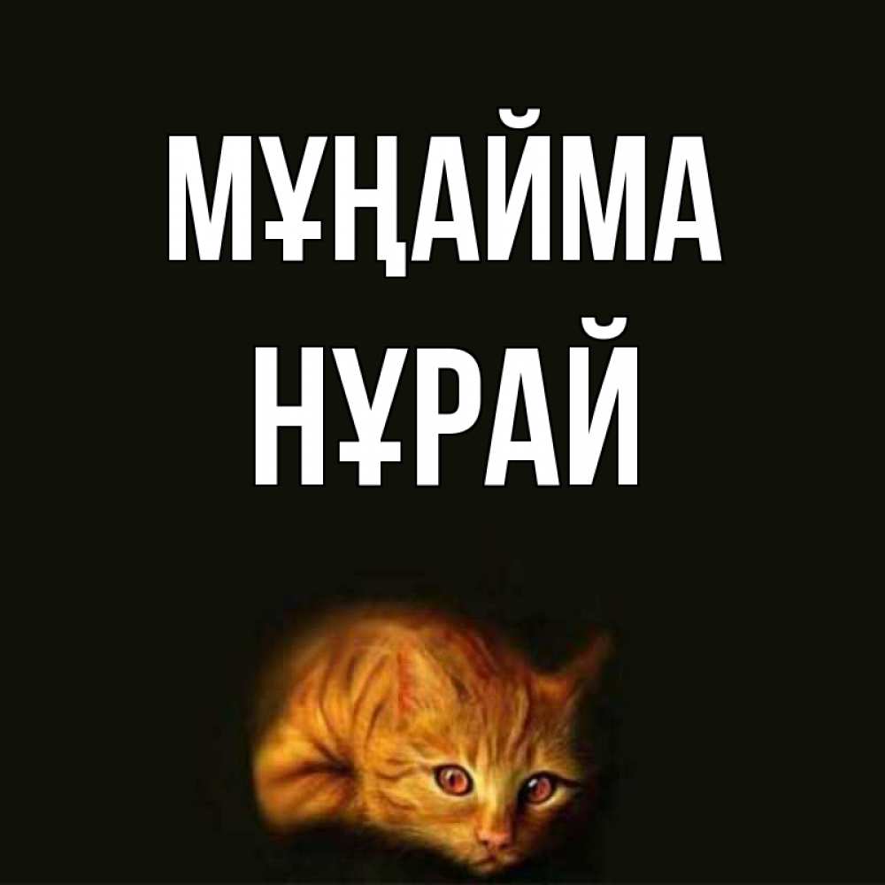 Күн сайын ашық хат с именем, НҰРАЙ Мұңайма лежащий кот в темноте Онлайн тегін жүктеп алу тілектері бар керемет карта 