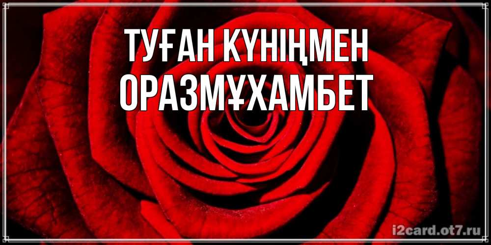 Күн сайын ашық хат с именем, ОРАЗМҰХАМБЕТ Туған күніңмен алая роза Онлайн тегін жүктеп алу тілектері бар керемет карта 