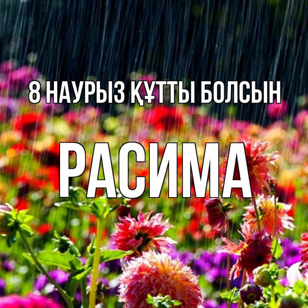 Күн сайын ашық хат с именем, РАСИМА 8 наурыз құтты болсын цветы под дождиком к международному женскому дню Онлайн тегін жүктеп алу тілектері бар керемет карта 