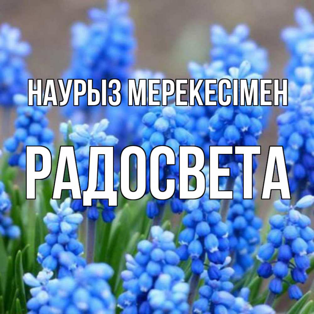 Күн сайын ашық хат с именем, Радосвета Наурыз мерекесімен Поздравительная открытка для женщин с цветами на праздничную дату Онлайн тегін жүктеп алу тілектері бар керемет карта 