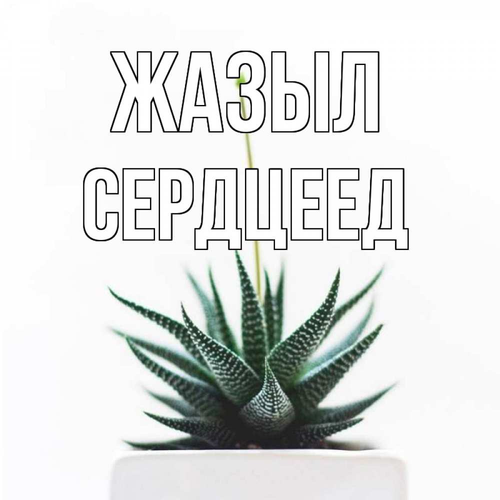 Күн сайын ашық хат с именем, Сердцеед Жазыл короче это непонятная колючка Онлайн тегін жүктеп алу тілектері бар керемет карта 