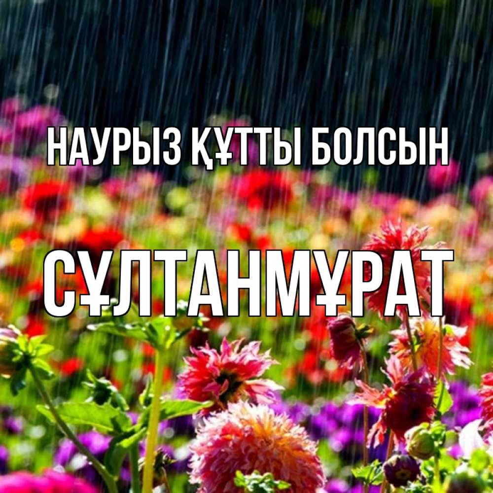 Күн сайын ашық хат с именем, СҰЛТАНМҰРАТ Наурыз құтты болсын цветы под дождиком к наурызу Онлайн тегін жүктеп алу тілектері бар керемет карта 