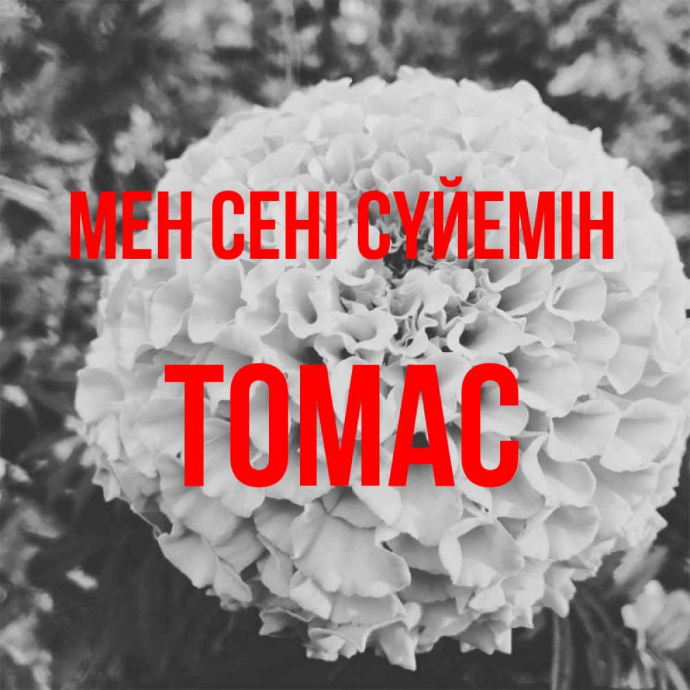 Күн сайын ашық хат с именем, Томас Мен сені сүйемін подпись Онлайн тегін жүктеп алу тілектері бар керемет карта 
