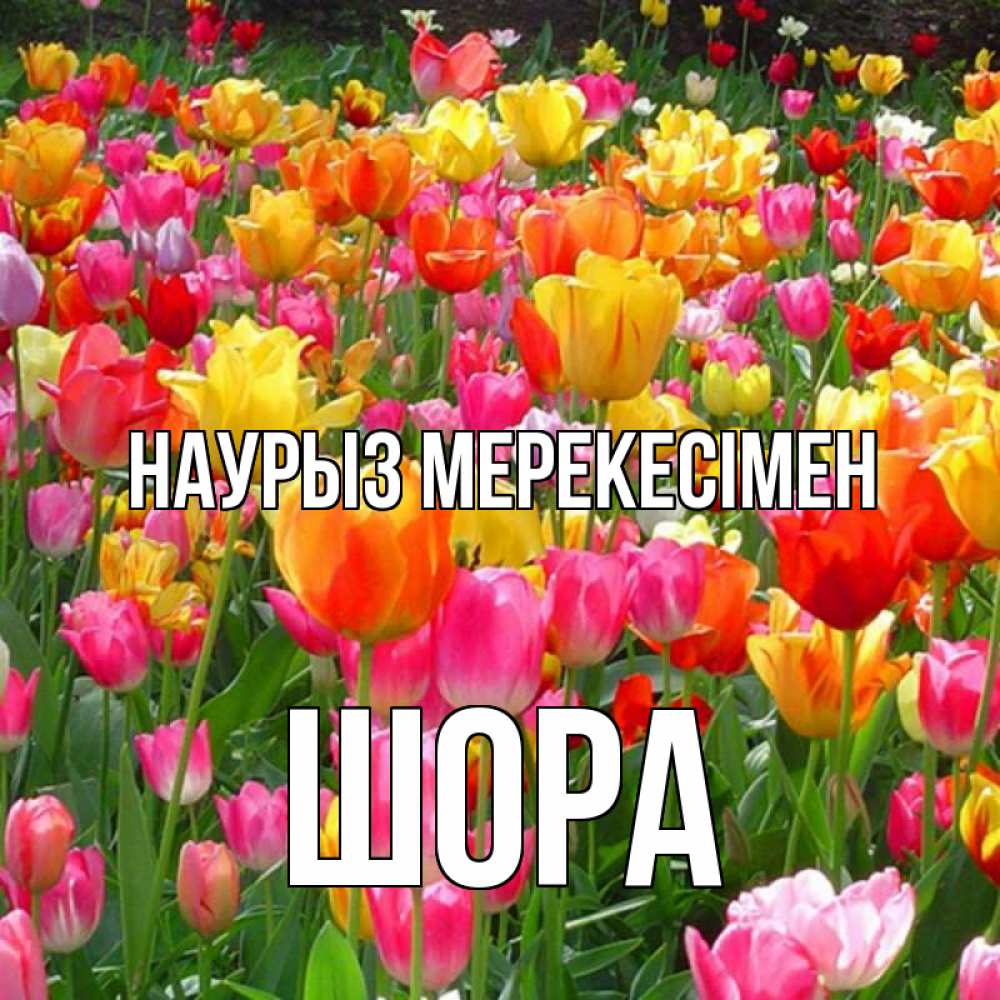 Күн сайын ашық хат с именем, ШОРА Наурыз мерекесімен праздник весны наурыз 4 Онлайн тегін жүктеп алу тілектері бар керемет карта 