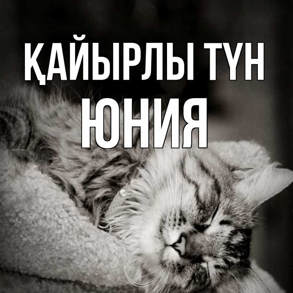 Күн сайын ашық хат с именем, Юния Қайырлы түн котярик пушистый Онлайн тегін жүктеп алу тілектері бар керемет карта 
