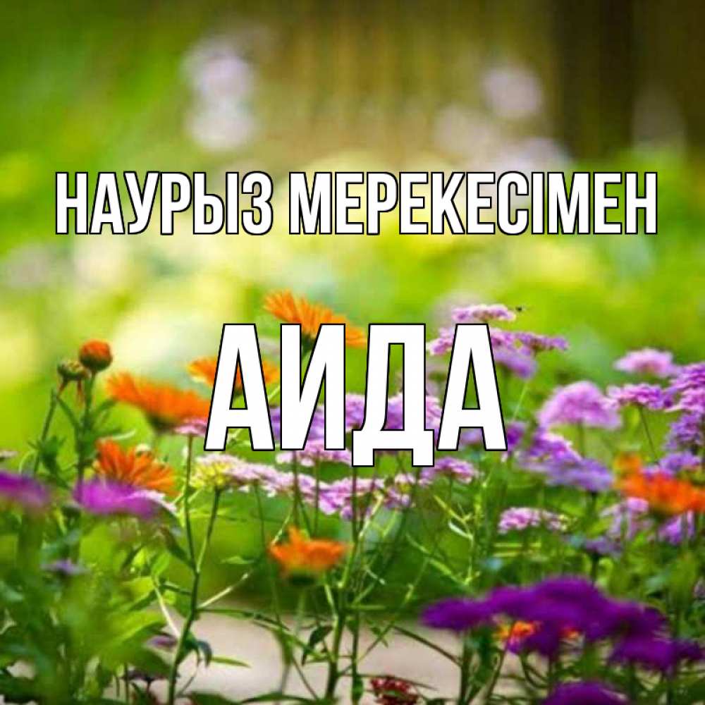 Күн сайын ашық хат с именем, АИДА Наурыз мерекесімен цветы Онлайн тегін жүктеп алу тілектері бар керемет карта 