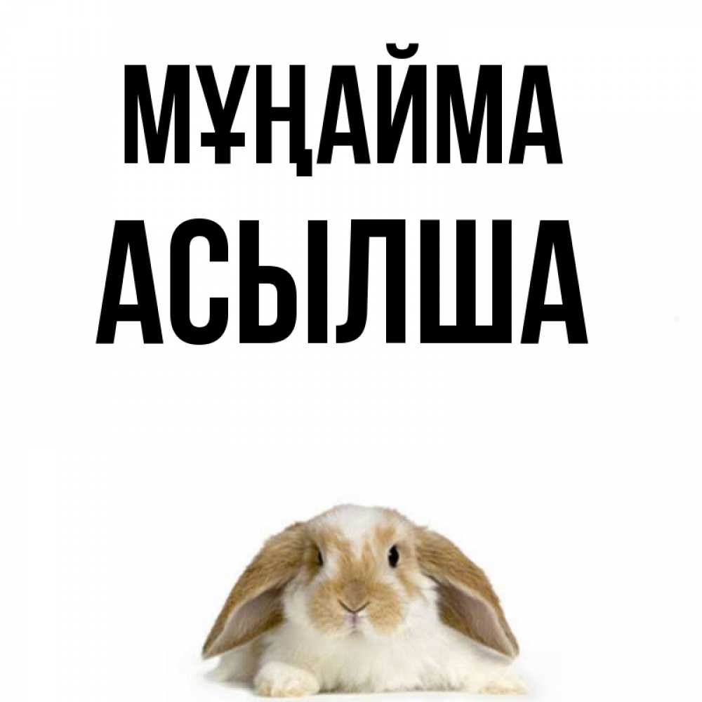 Күн сайын ашық хат с именем, АСЫЛША Мұңайма коричнево белый заяц с большими ушками Онлайн тегін жүктеп алу тілектері бар керемет карта 