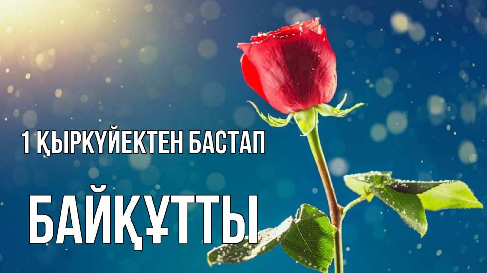 Күн сайын ашық хат с именем, Байқұтты 1 қыркүйектен бастап с днем знаний Онлайн тегін жүктеп алу тілектері бар керемет карта 