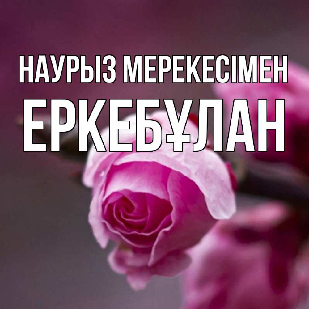 Күн сайын ашық хат с именем, Еркебұлан Наурыз мерекесімен весна Онлайн тегін жүктеп алу тілектері бар керемет карта 