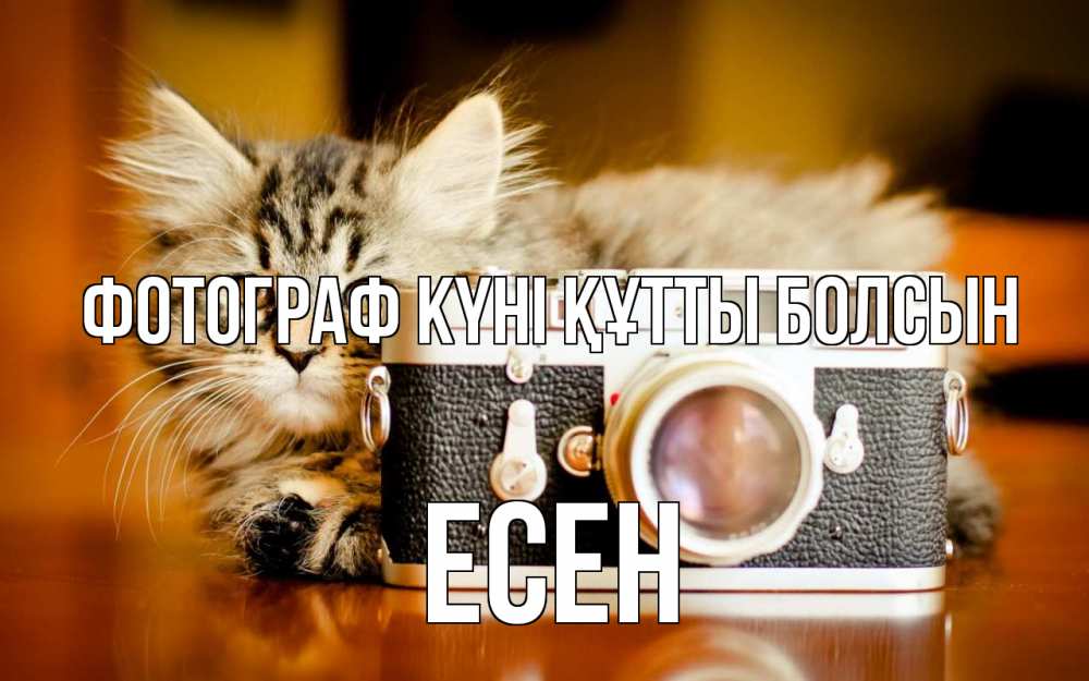 Күн сайын ашық хат с именем, Есен Фотограф күні құтты болсын с днем фотографа Онлайн тегін жүктеп алу тілектері бар керемет карта 