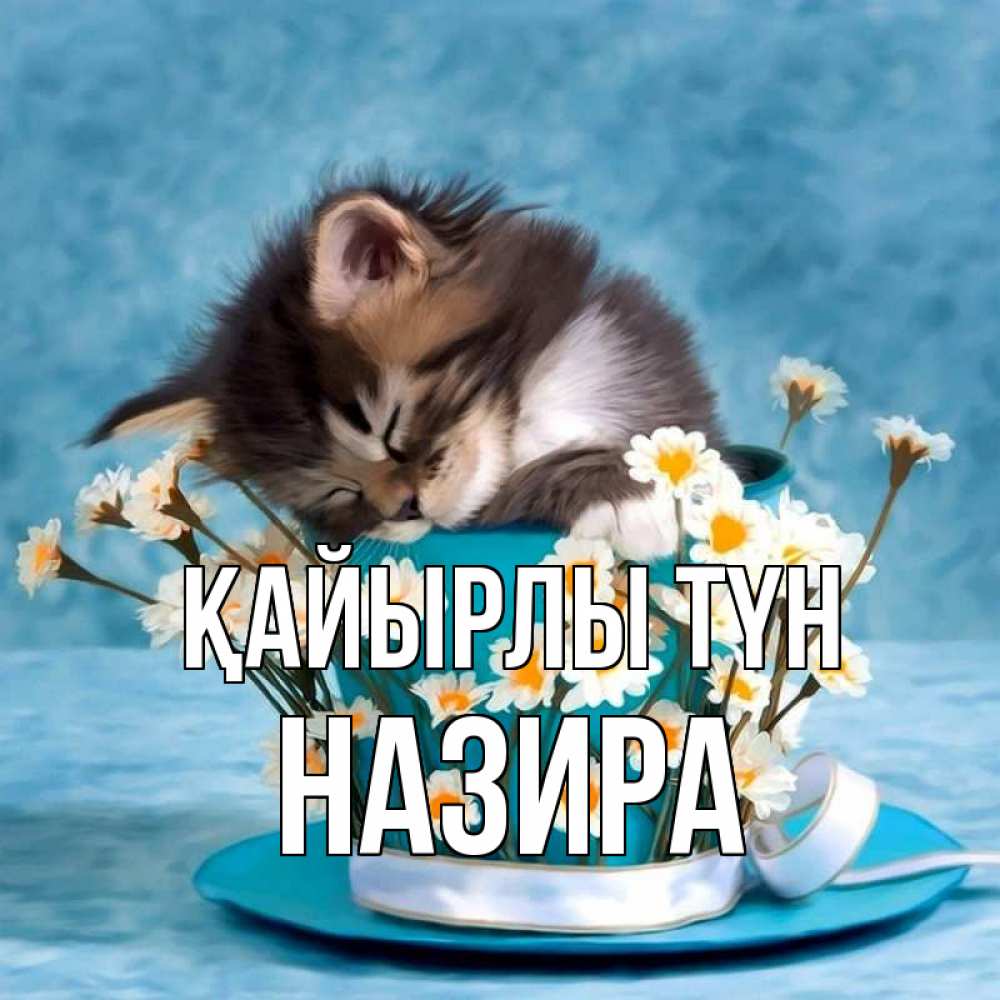 Күн сайын ашық хат с именем, Назира Қайырлы түн котенок спит в кружке с блюдцем Онлайн тегін жүктеп алу тілектері бар керемет карта 
