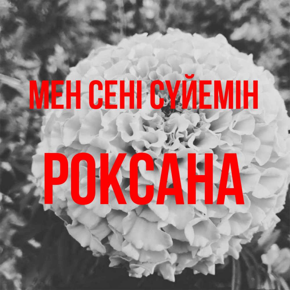 Күн сайын ашық хат с именем, Роксана Мен сені сүйемін подпись Онлайн тегін жүктеп алу тілектері бар керемет карта 