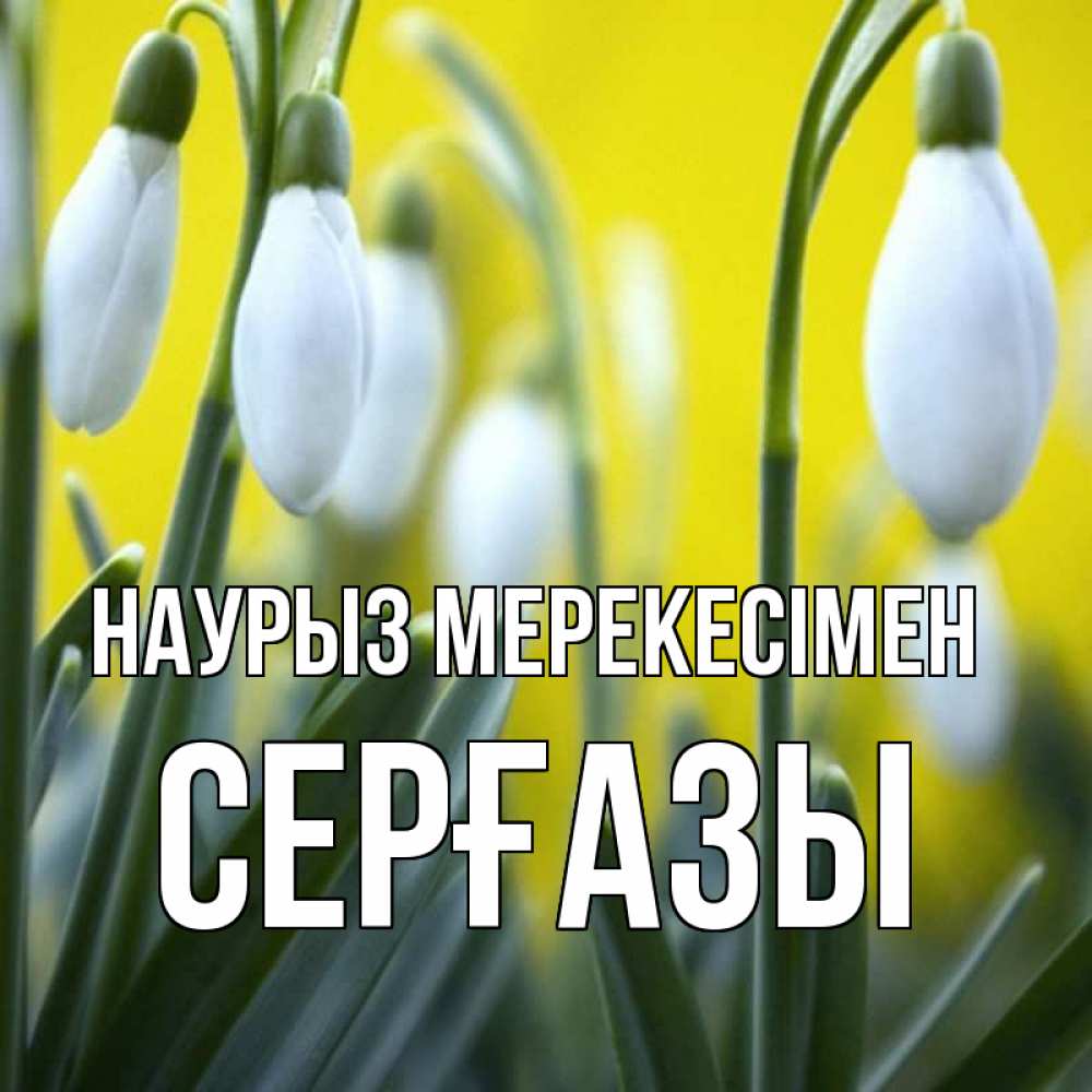 Күн сайын ашық хат с именем, СЕРҒАЗЫ Наурыз мерекесімен весенние цветы Онлайн тегін жүктеп алу тілектері бар керемет карта 