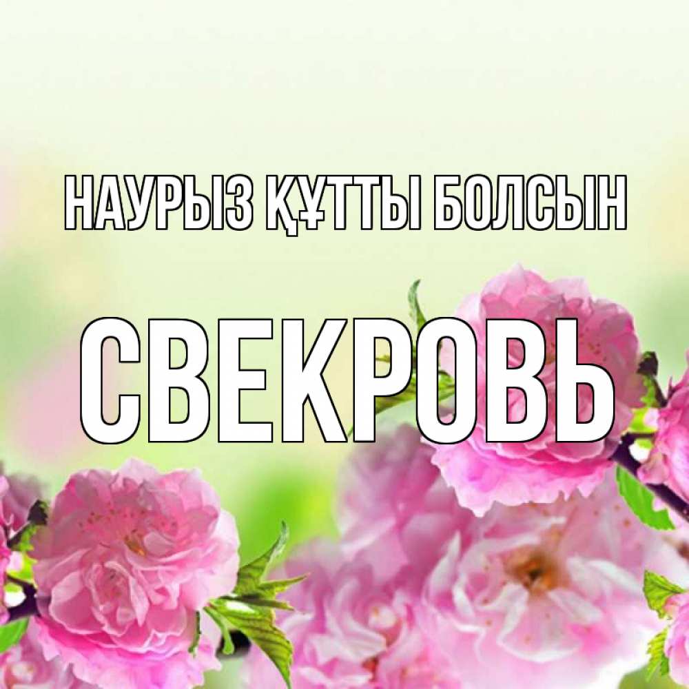 Күн сайын ашық хат с именем, Свекровь Наурыз құтты болсын цветы Онлайн тегін жүктеп алу тілектері бар керемет карта 