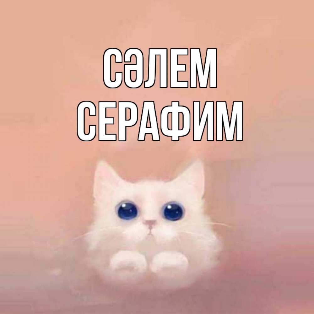 Күн сайын ашық хат с именем, Серафим Сәлем котик белый в полете Онлайн тегін жүктеп алу тілектері бар керемет карта 
