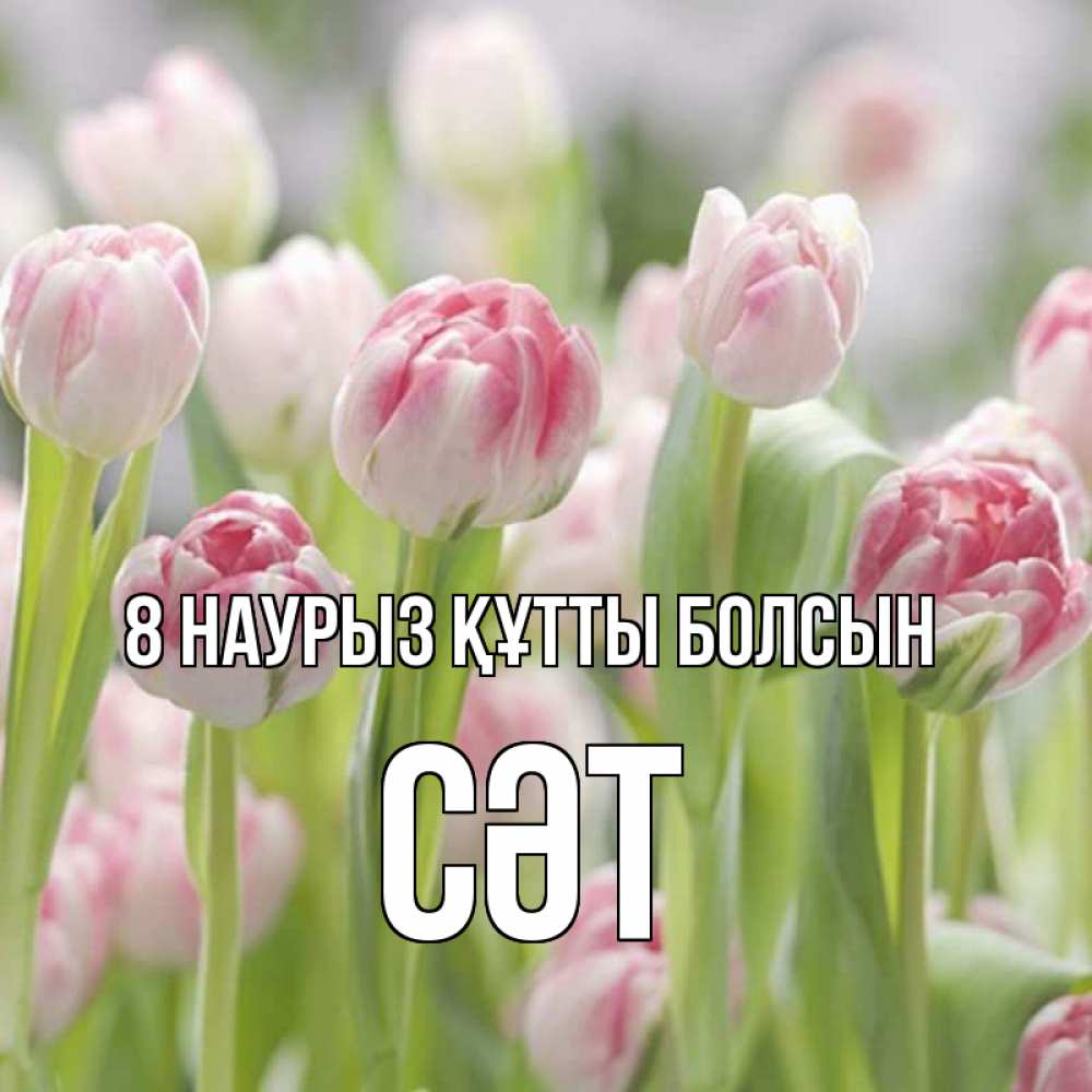 Күн сайын ашық хат с именем, СӘТ 8 наурыз құтты болсын цветы Онлайн тегін жүктеп алу тілектері бар керемет карта 