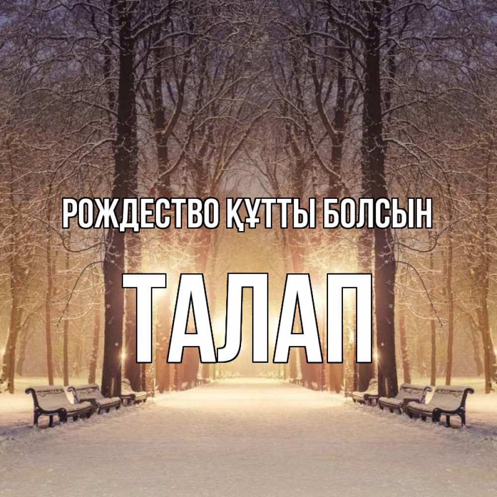 Күн сайын ашық хат с именем, ТАЛАП Рождество құтты болсын зима, парк, фонарь, лес Онлайн тегін жүктеп алу тілектері бар керемет карта 
