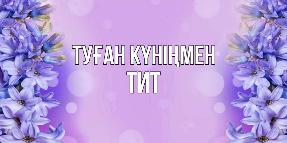 Күн сайын ашық хат с именем, Тит Туған күніңмен открытка с сиренью Онлайн тегін жүктеп алу тілектері бар керемет карта 