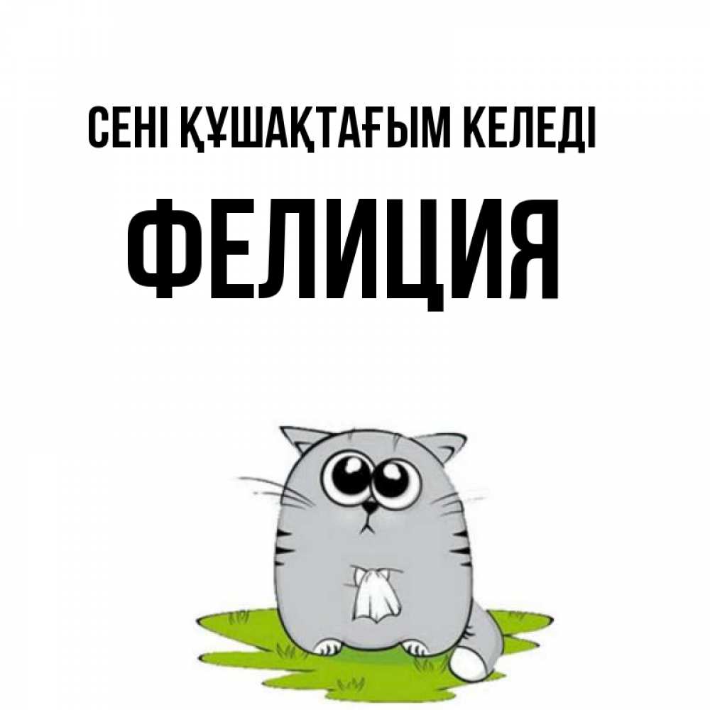 Күн сайын ашық хат с именем, Фелиция сені құшақтағым келеді котик теребит платочек сидя на травке Онлайн тегін жүктеп алу тілектері бар керемет карта 