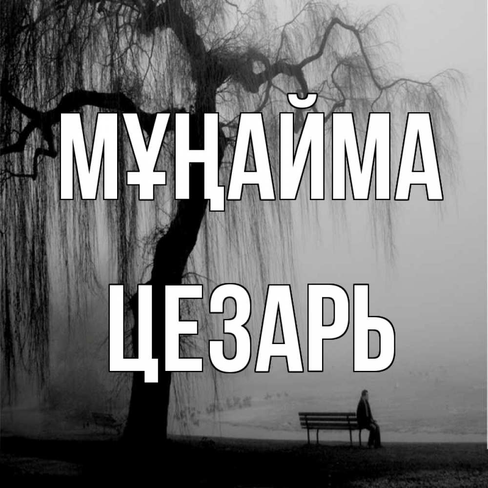 Күн сайын ашық хат с именем, Цезарь Мұңайма висящие ветки дерева и лавочка под деревом Онлайн тегін жүктеп алу тілектері бар керемет карта 