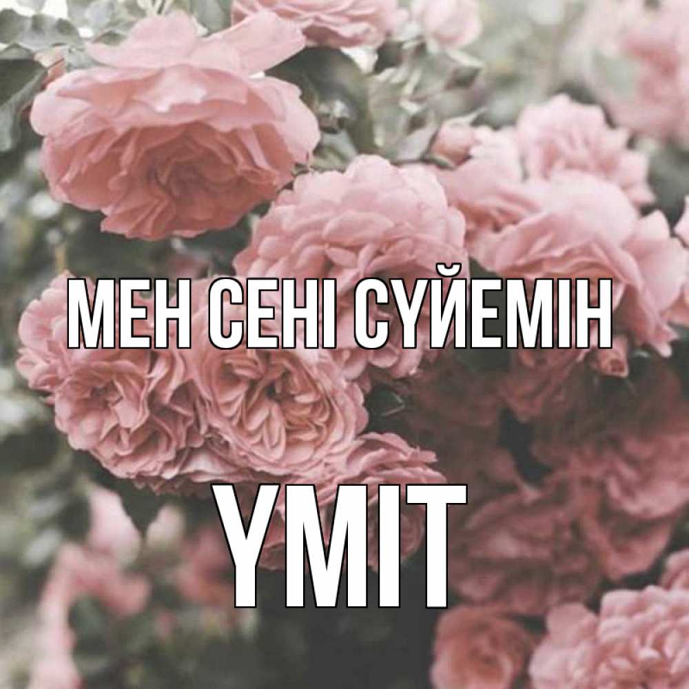 Күн сайын ашық хат с именем, ҮМІТ Мен сені сүйемін розы 3 Онлайн тегін жүктеп алу тілектері бар керемет карта 