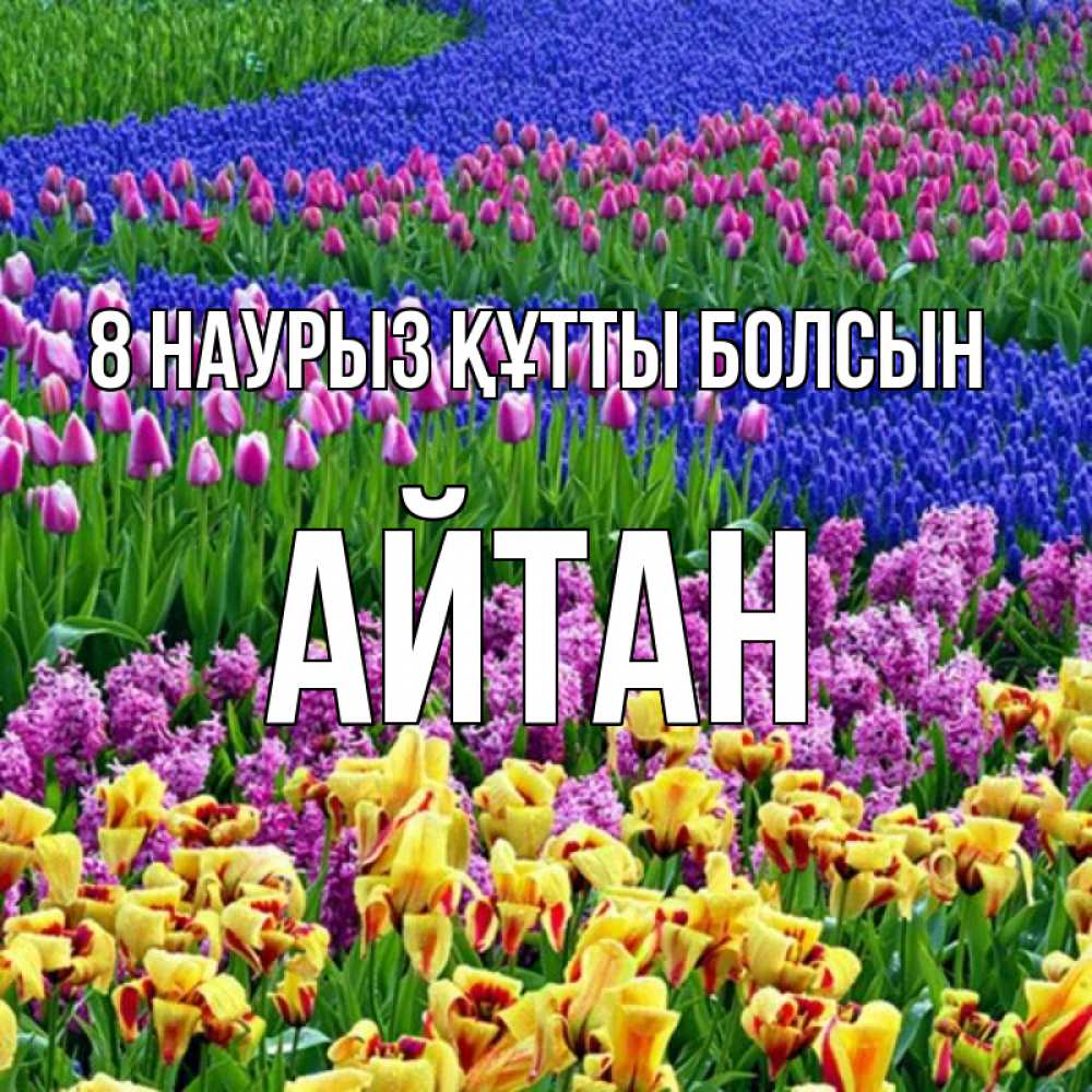 Күн сайын ашық хат с именем, Айтан 8 наурыз құтты болсын цветы Онлайн тегін жүктеп алу тілектері бар керемет карта 