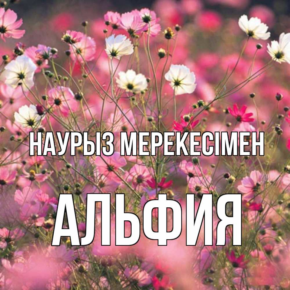 Күн сайын ашық хат с именем, Альфия Наурыз мерекесімен красиво 1 Онлайн тегін жүктеп алу тілектері бар керемет карта 