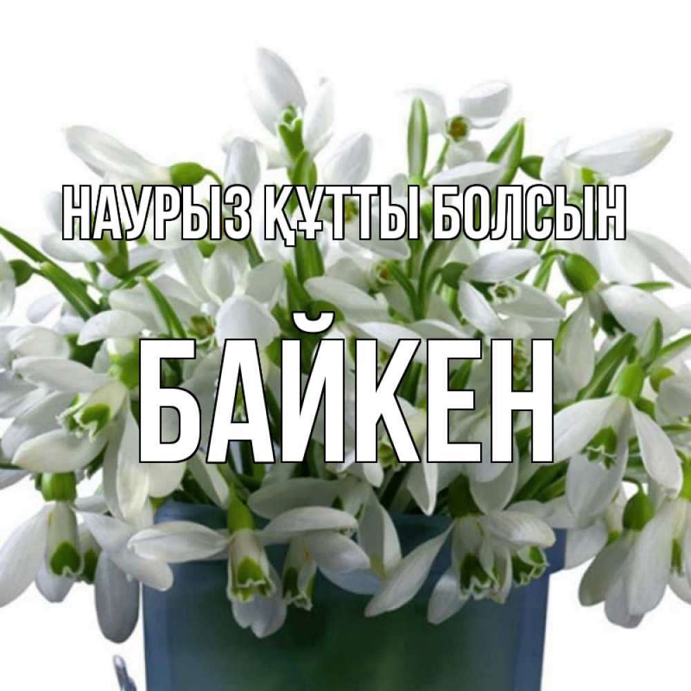 Күн сайын ашық хат с именем, Байкен Наурыз құтты болсын цветы к наурызу Онлайн тегін жүктеп алу тілектері бар керемет карта 