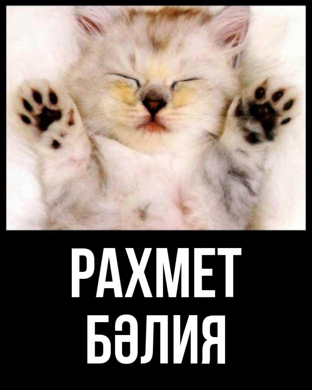 Күн сайын ашық хат с именем, БӘЛИЯ рахмет маленький котенок Онлайн тегін жүктеп алу тілектері бар керемет карта 