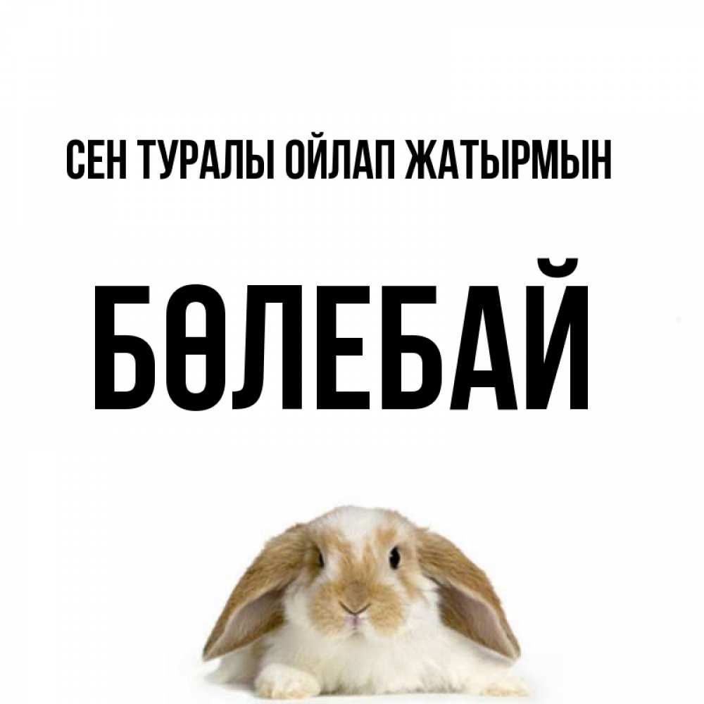 Күн сайын ашық хат с именем, Бөлебай Сен туралы ойлап жатырмын подписать своими руками онлайн Онлайн тегін жүктеп алу тілектері бар керемет карта 