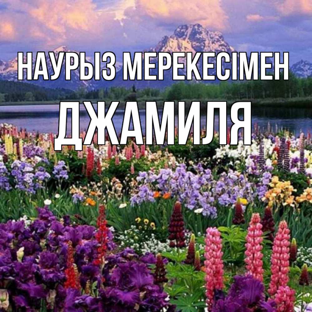 Күн сайын ашық хат с именем, Джамиля Наурыз мерекесімен праздник весны наурыз Онлайн тегін жүктеп алу тілектері бар керемет карта 